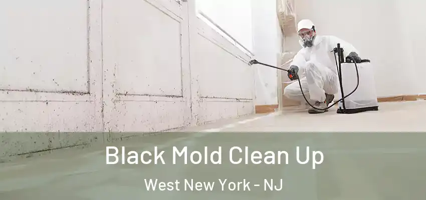 Black Mold Clean Up West New York - NJ