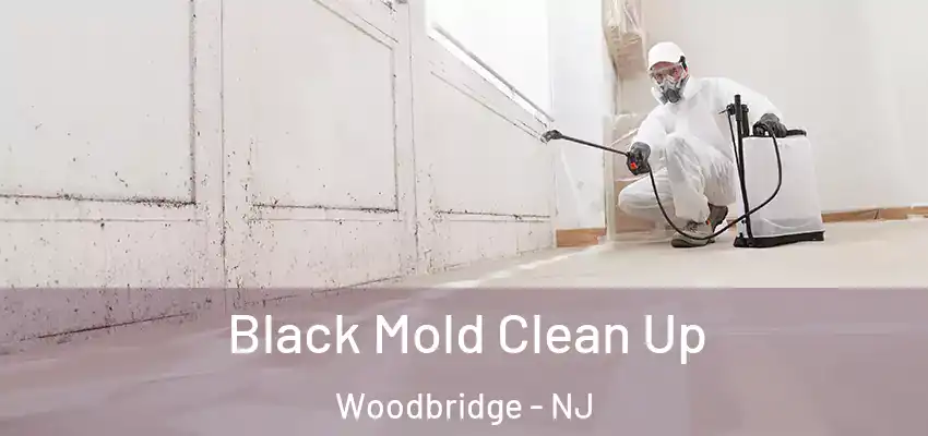 Black Mold Clean Up Woodbridge - NJ
