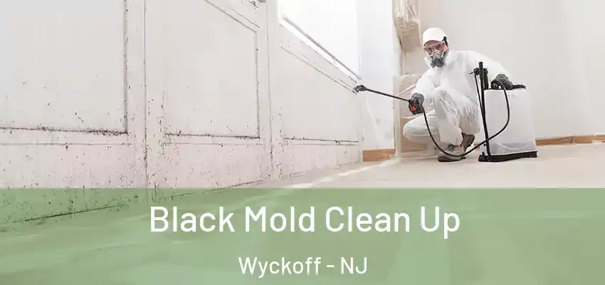  Black Mold Clean Up Wyckoff - NJ
