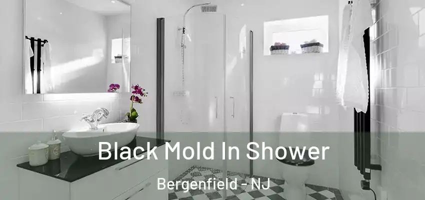  Black Mold In Shower Bergenfield - NJ