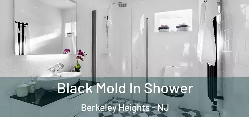 Black Mold In Shower Berkeley Heights - NJ