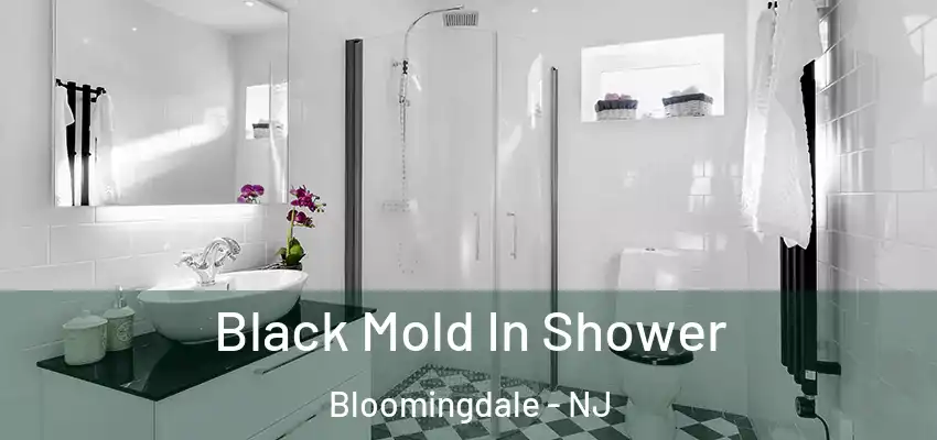 Black Mold In Shower Bloomingdale - NJ