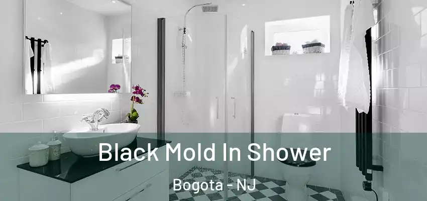  Black Mold In Shower Bogota - NJ
