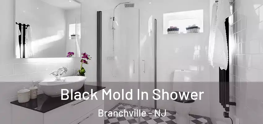  Black Mold In Shower Branchville - NJ