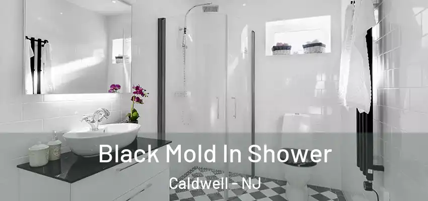 Black Mold In Shower Caldwell - NJ