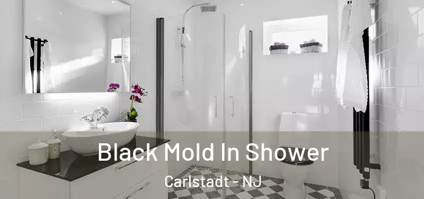  Black Mold In Shower Carlstadt - NJ