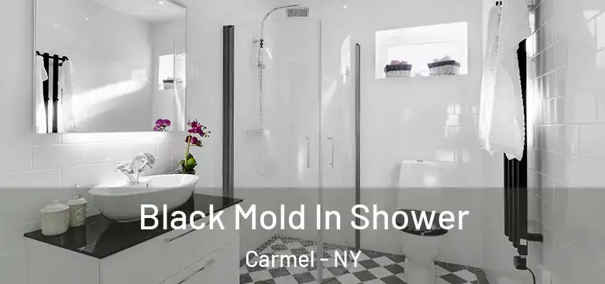  Black Mold In Shower Carmel - NY