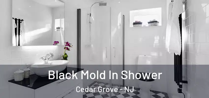 Black Mold In Shower Cedar Grove - NJ
