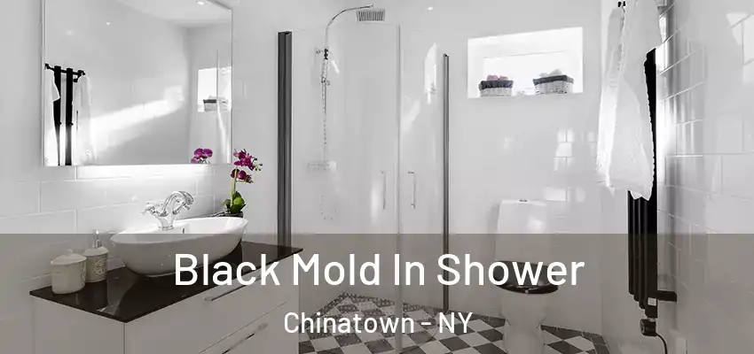 Black Mold In Shower Chinatown - NY