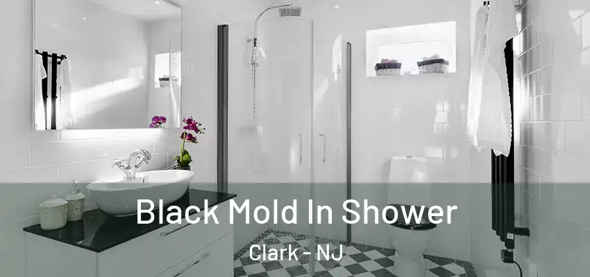  Black Mold In Shower Clark - NJ