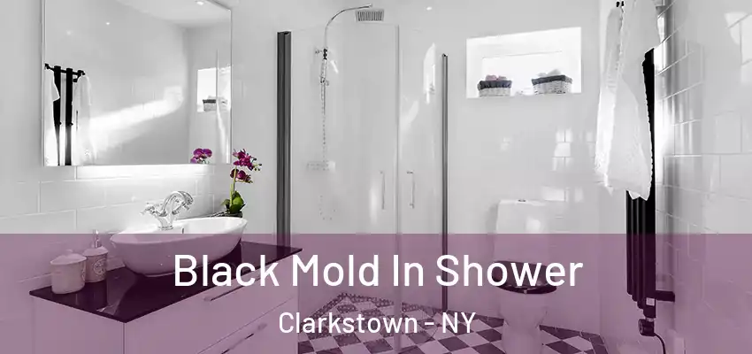 Black Mold In Shower Clarkstown - NY