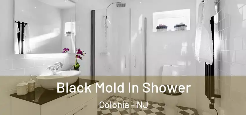 Black Mold In Shower Colonia - NJ