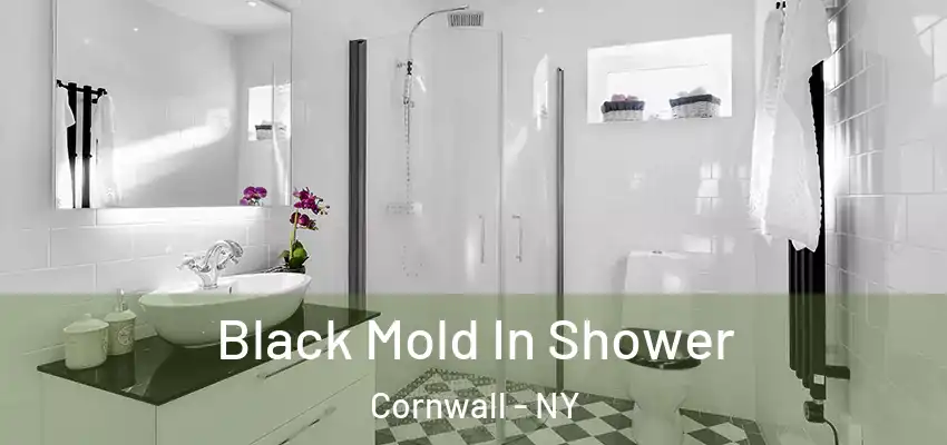  Black Mold In Shower Cornwall - NY