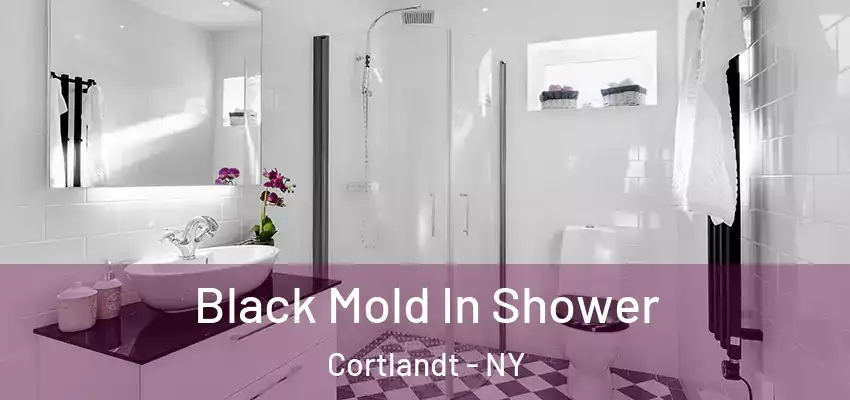  Black Mold In Shower Cortlandt - NY