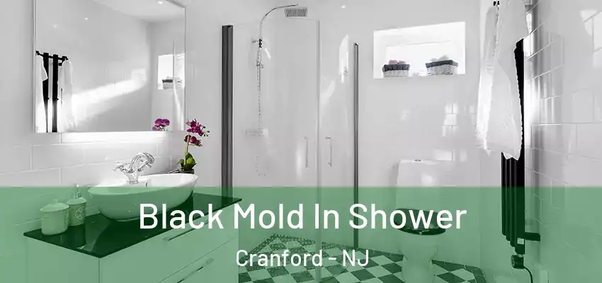 Black Mold In Shower Cranford - NJ