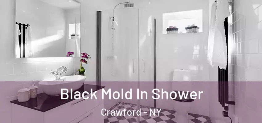 Black Mold In Shower Crawford - NY