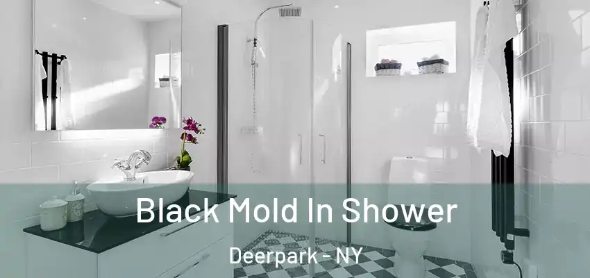  Black Mold In Shower Deerpark - NY
