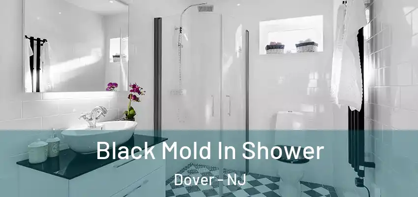  Black Mold In Shower Dover - NJ