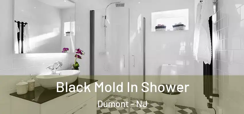 Black Mold In Shower Dumont - NJ