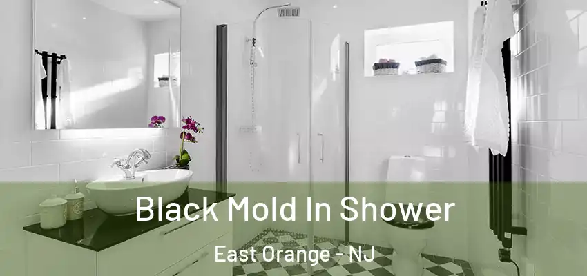  Black Mold In Shower East Orange - NJ
