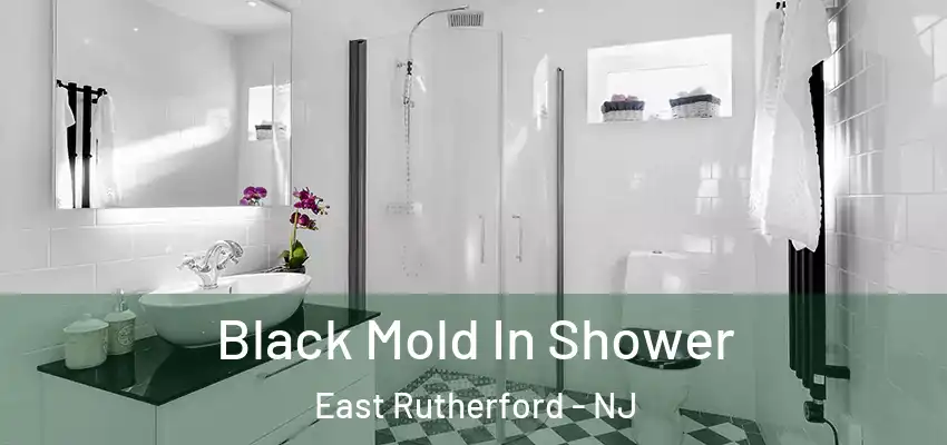  Black Mold In Shower East Rutherford - NJ