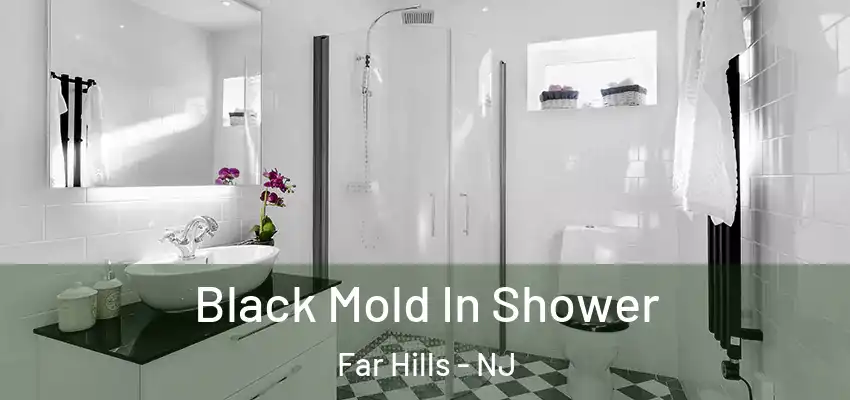 Black Mold In Shower Far Hills - NJ