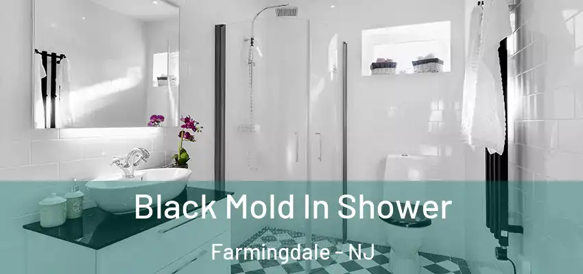 Black Mold In Shower Farmingdale - NJ
