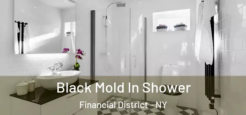 Black Mold In Shower Financial District - NY