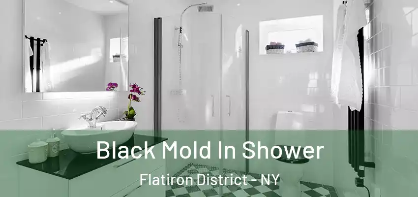  Black Mold In Shower Flatiron District - NY