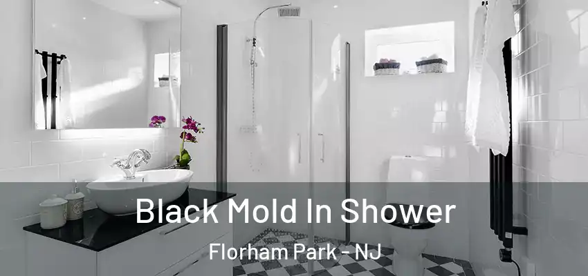 Black Mold In Shower Florham Park - NJ