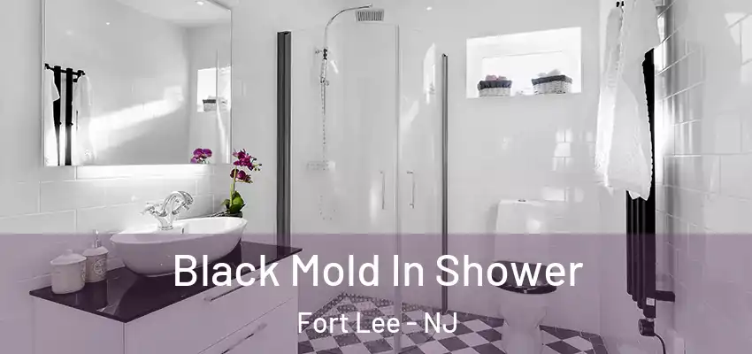  Black Mold In Shower Fort Lee - NJ