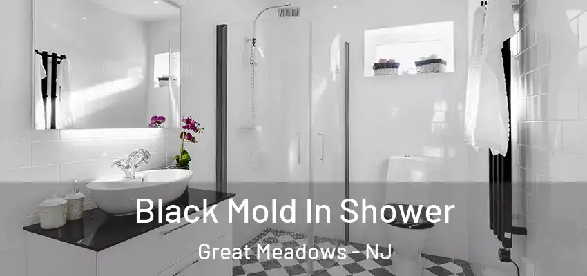 Black Mold In Shower Great Meadows - NJ