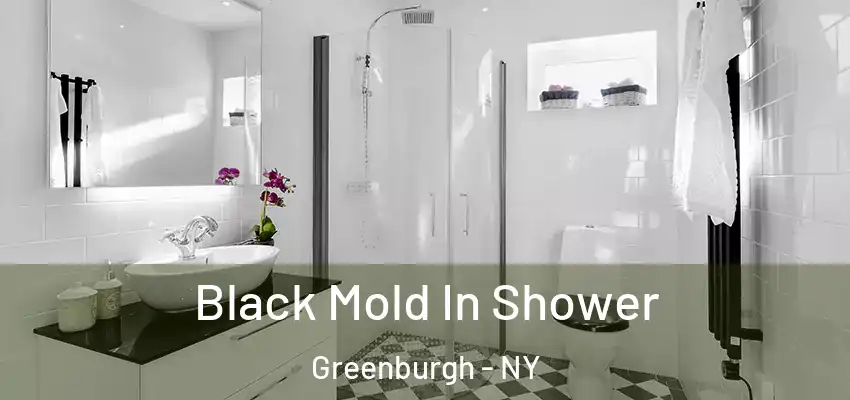  Black Mold In Shower Greenburgh - NY