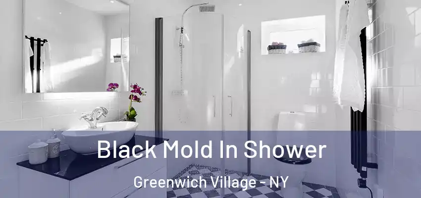 Black Mold In Shower Greenwich Village - NY