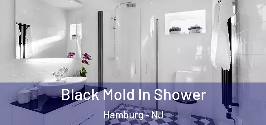 Black Mold In Shower Hamburg - NJ