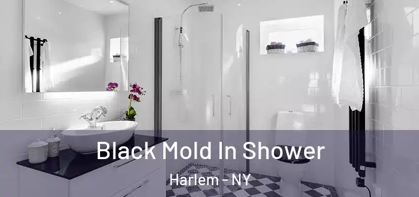 Black Mold In Shower Harlem - NY