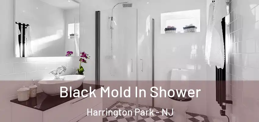 Black Mold In Shower Harrington Park - NJ