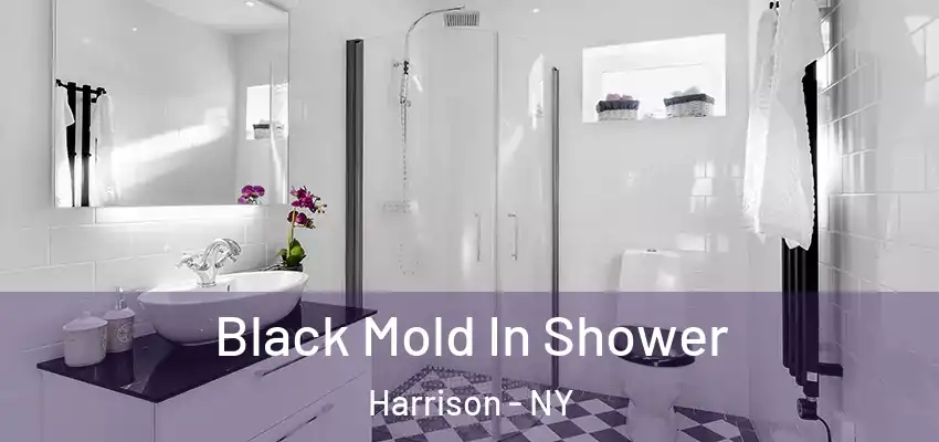  Black Mold In Shower Harrison - NY