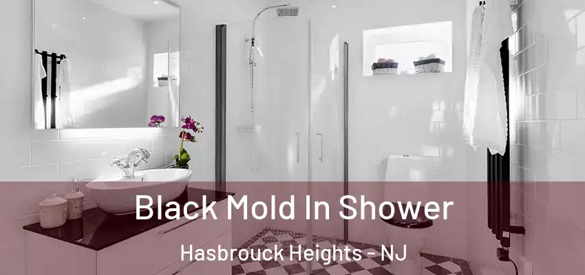 Black Mold In Shower Hasbrouck Heights - NJ