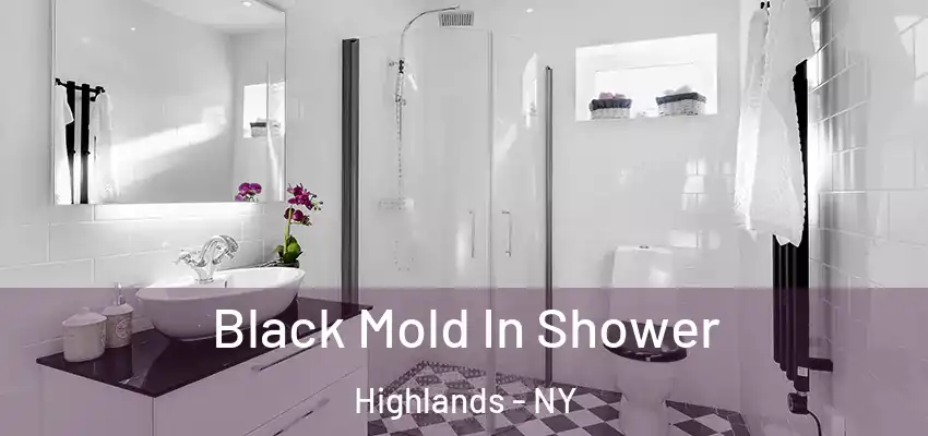  Black Mold In Shower Highlands - NY