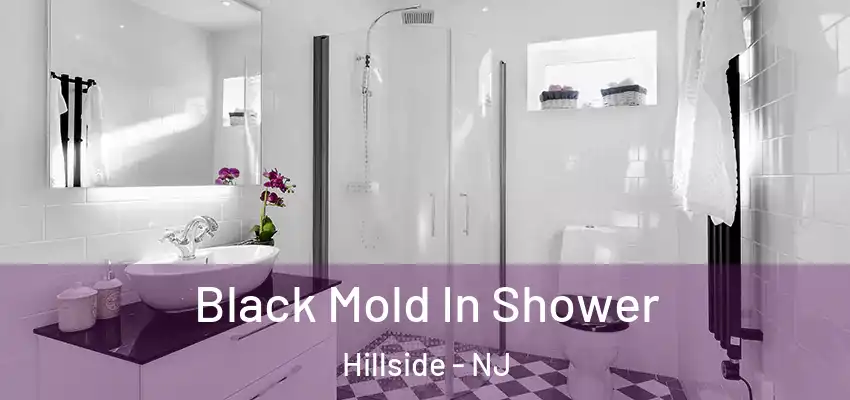Black Mold In Shower Hillside - NJ