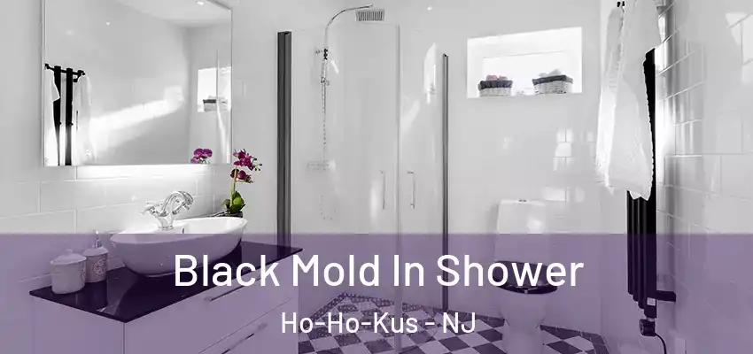 Black Mold In Shower Ho-Ho-Kus - NJ