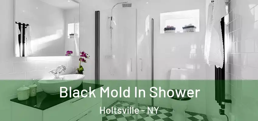 Black Mold In Shower Holtsville - NY