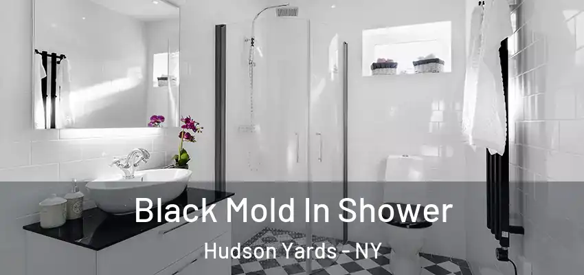  Black Mold In Shower Hudson Yards - NY