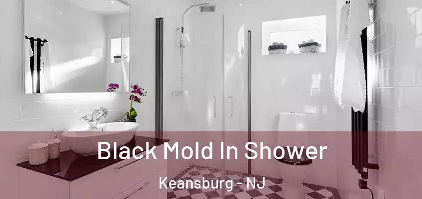 Black Mold In Shower Keansburg - NJ