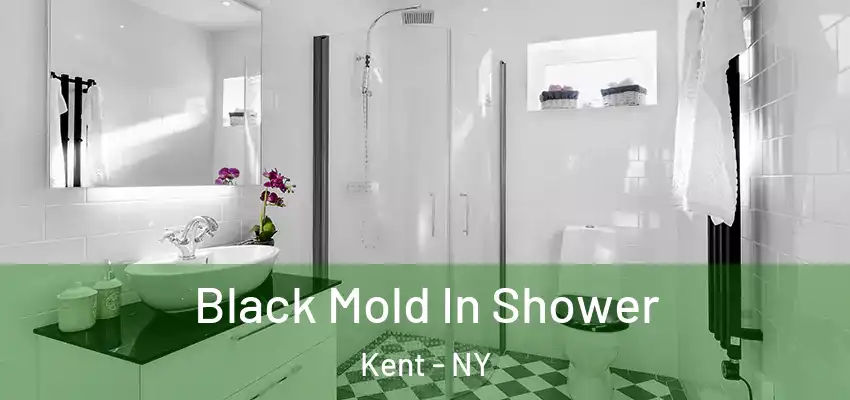 Black Mold In Shower Kent - NY