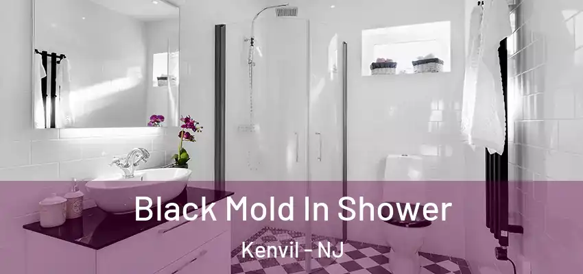 Black Mold In Shower Kenvil - NJ