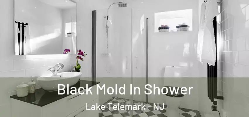 Black Mold In Shower Lake Telemark - NJ