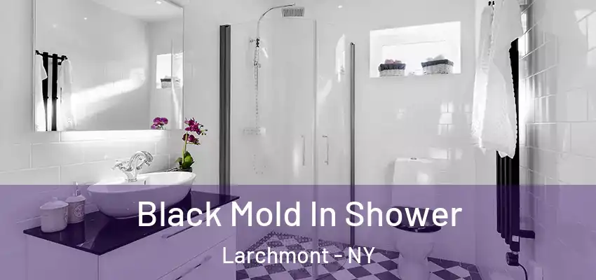 Black Mold In Shower Larchmont - NY