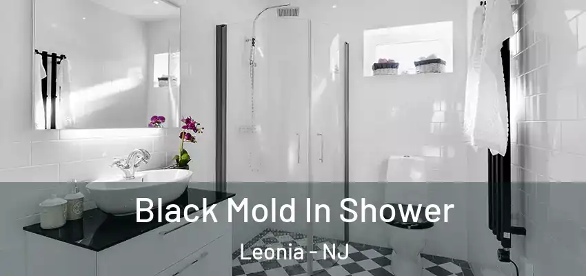 Black Mold In Shower Leonia - NJ